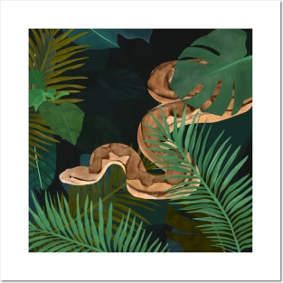 Jungle Python Snake Posters and Art